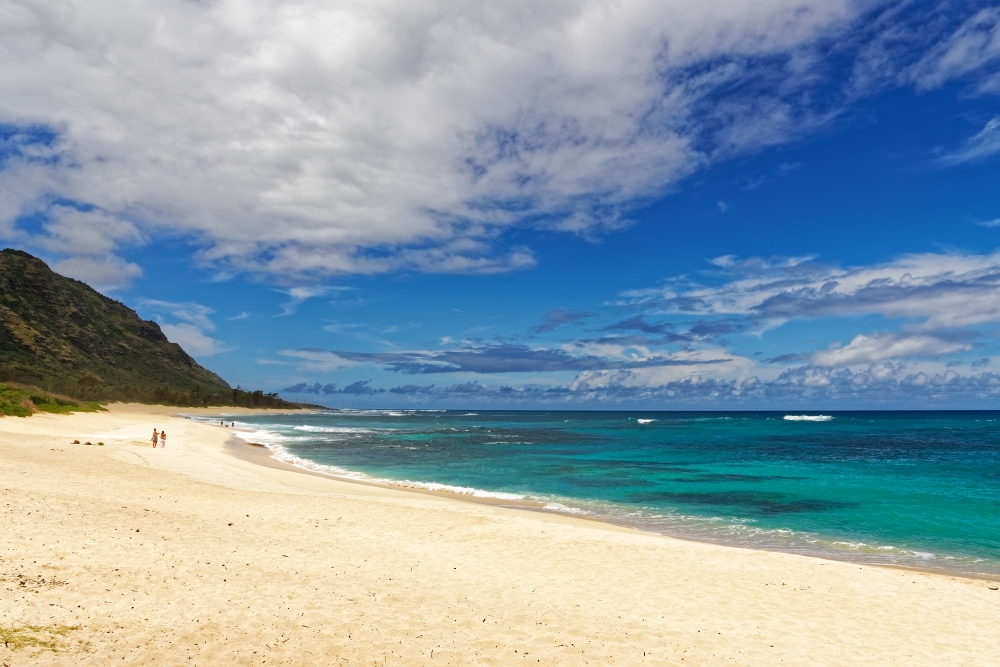 Army Beach Oahu North Shore
