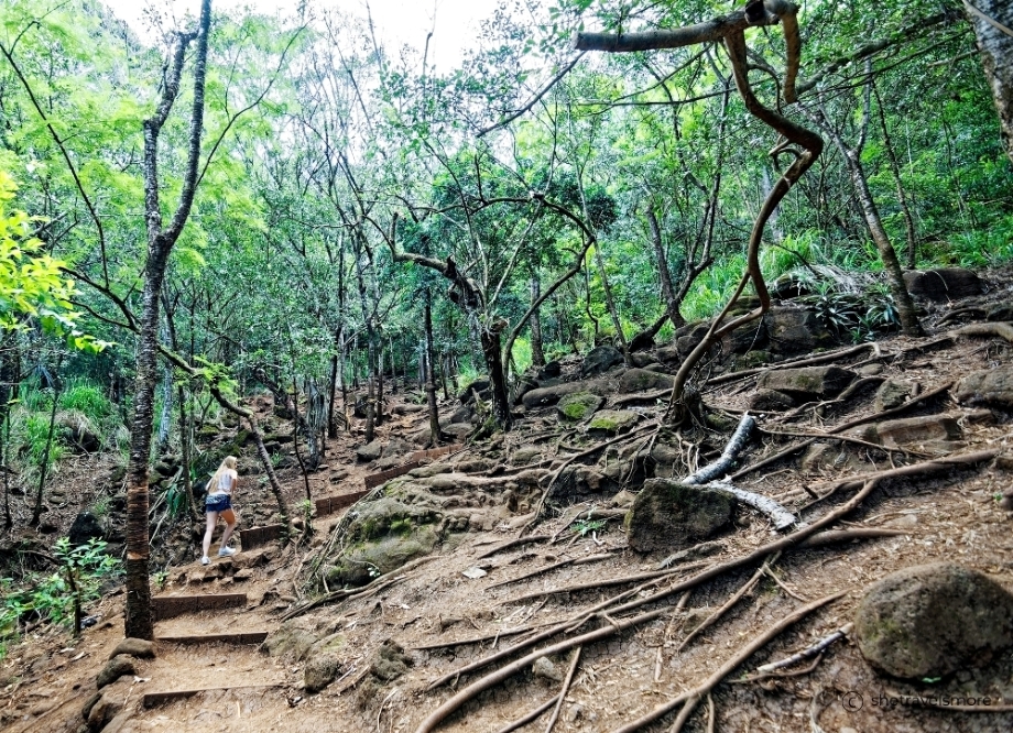 Ehukai Pillbox Hike Aufstieg