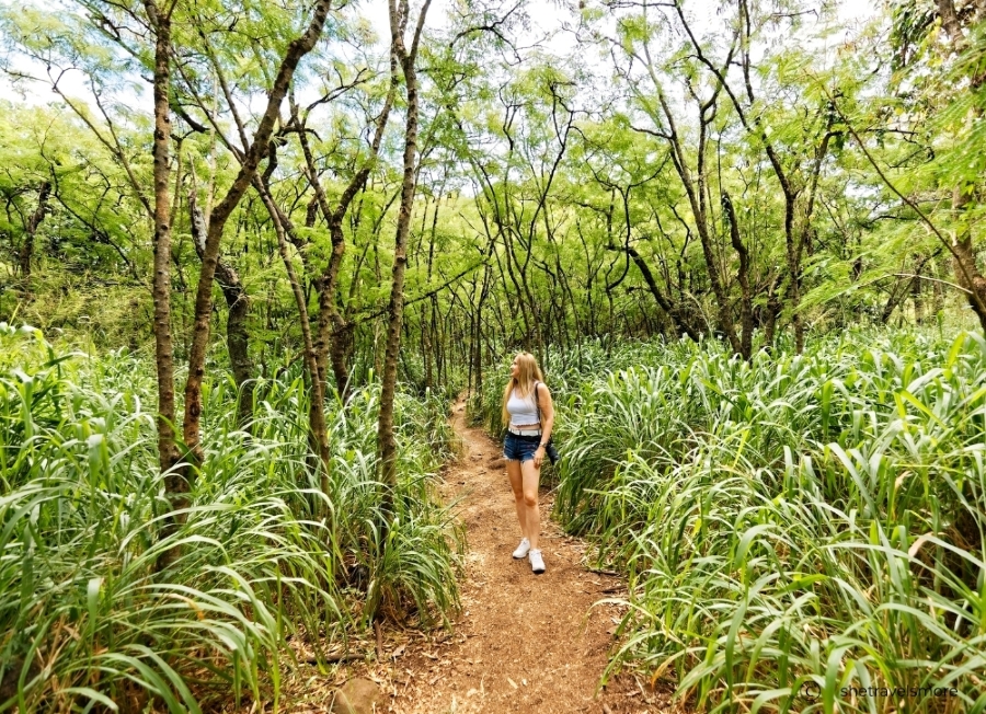 Ehukai Pillbox Hike