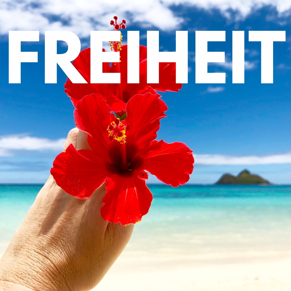 Hawaii-Oahu-Freiheit- Auf Reisen Geld verdienen Hawaii-Oahu-Freiheit Auf Reisen Geld verdienen