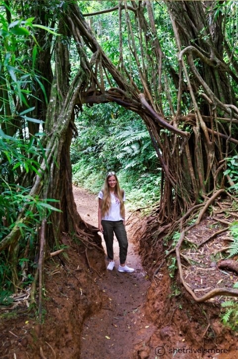Manoa Wasserfall Oahu Hawaii Hike