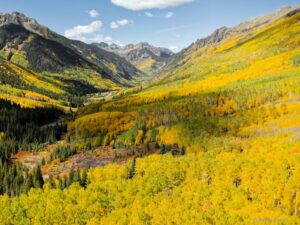 Telluride & Ophir Herbst in Colorado