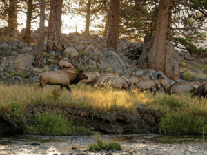 Colorado im Herbst - Estes Park - Rocky Mountain Nationalpark