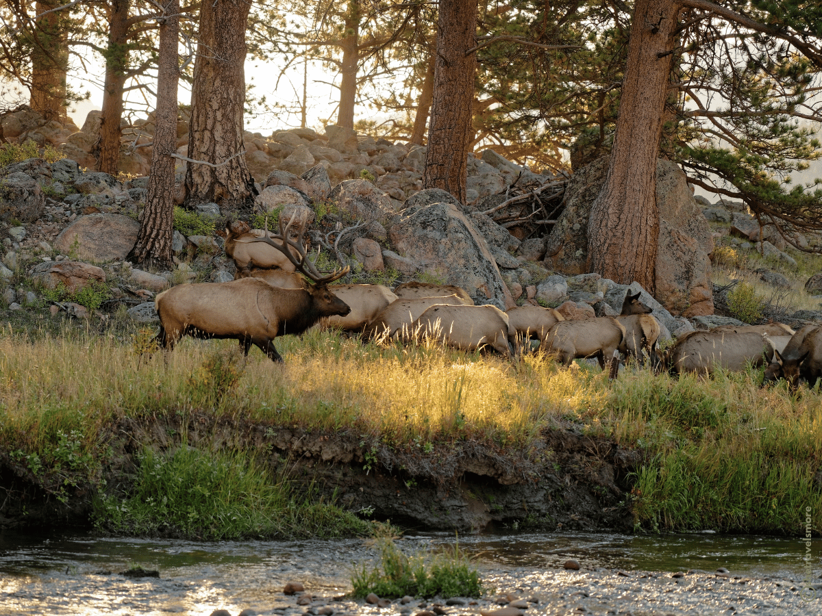Colorado im Herbst - Estes Park - Rocky Mountain Nationalpark