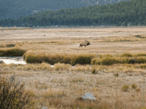 Colorado im Herbst - Estes Park - Rocky Mountain Nationalpark