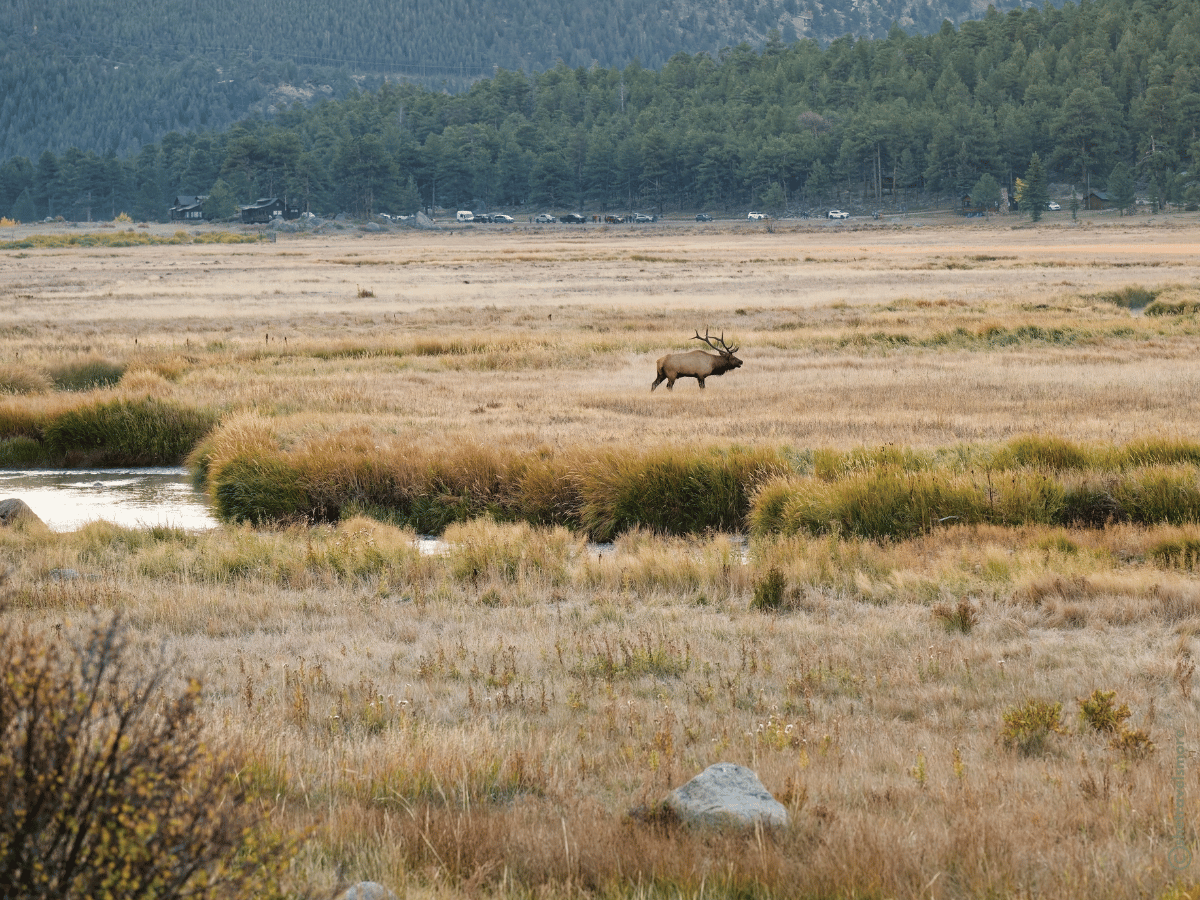 Colorado im Herbst - Estes Park - Rocky Mountain Nationalpark