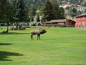 Colorado im Herbst - Estes Park - Rocky Mountain Nationalpark