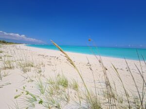 Bahamas-Great Abaco -Turtle Cay