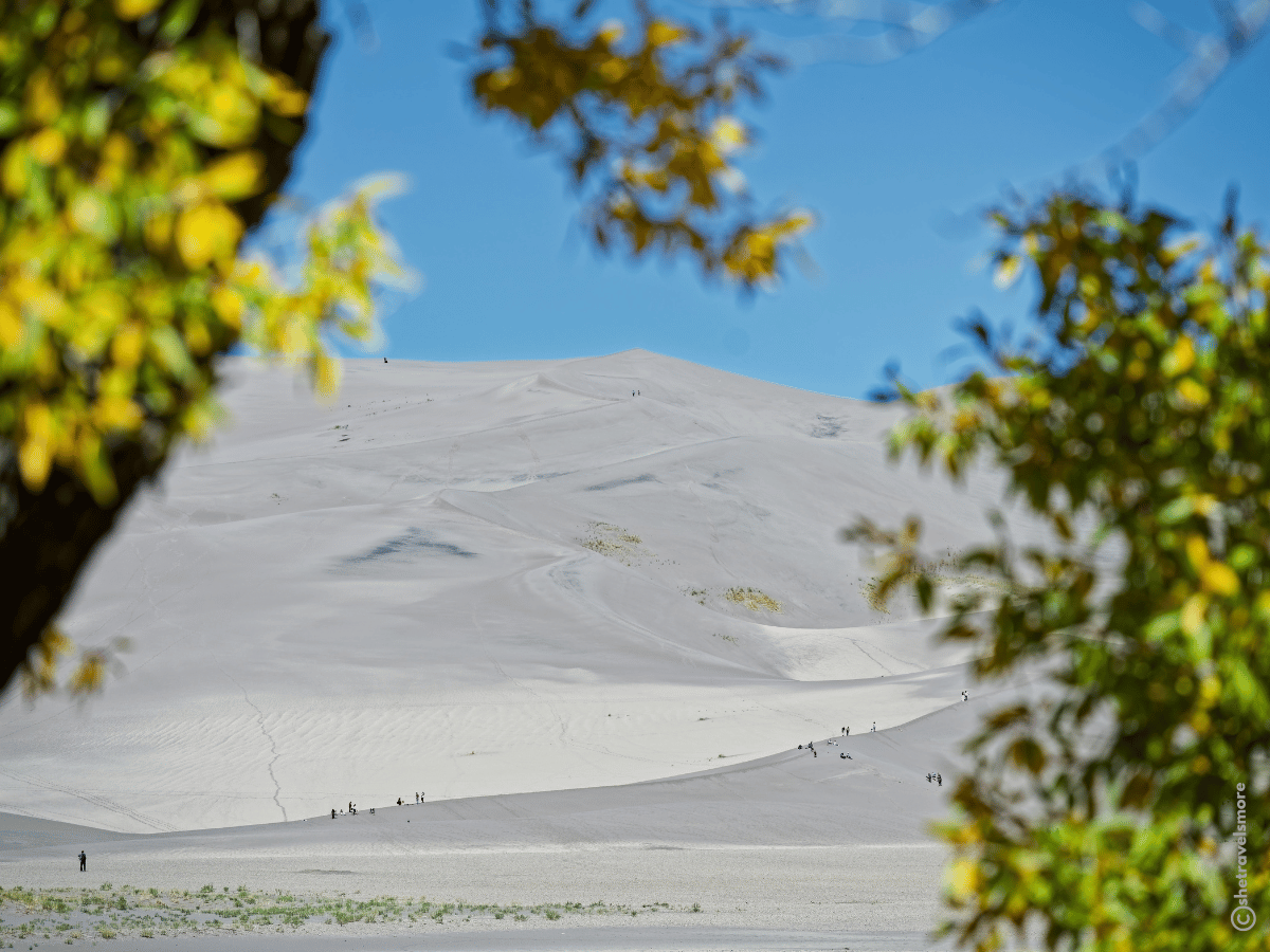 Great Sand Dunes National Park - Colorado im Herbst