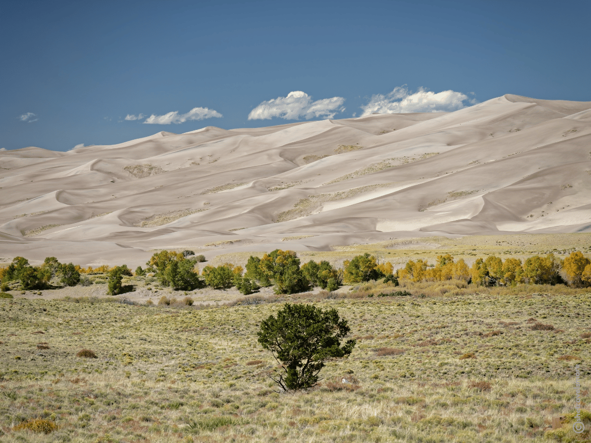 Great Sand Dunes National Park - Colorado im Herbst