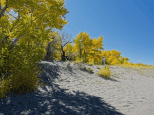 Great Sand Dunes National Park - Colorado im Herbst
