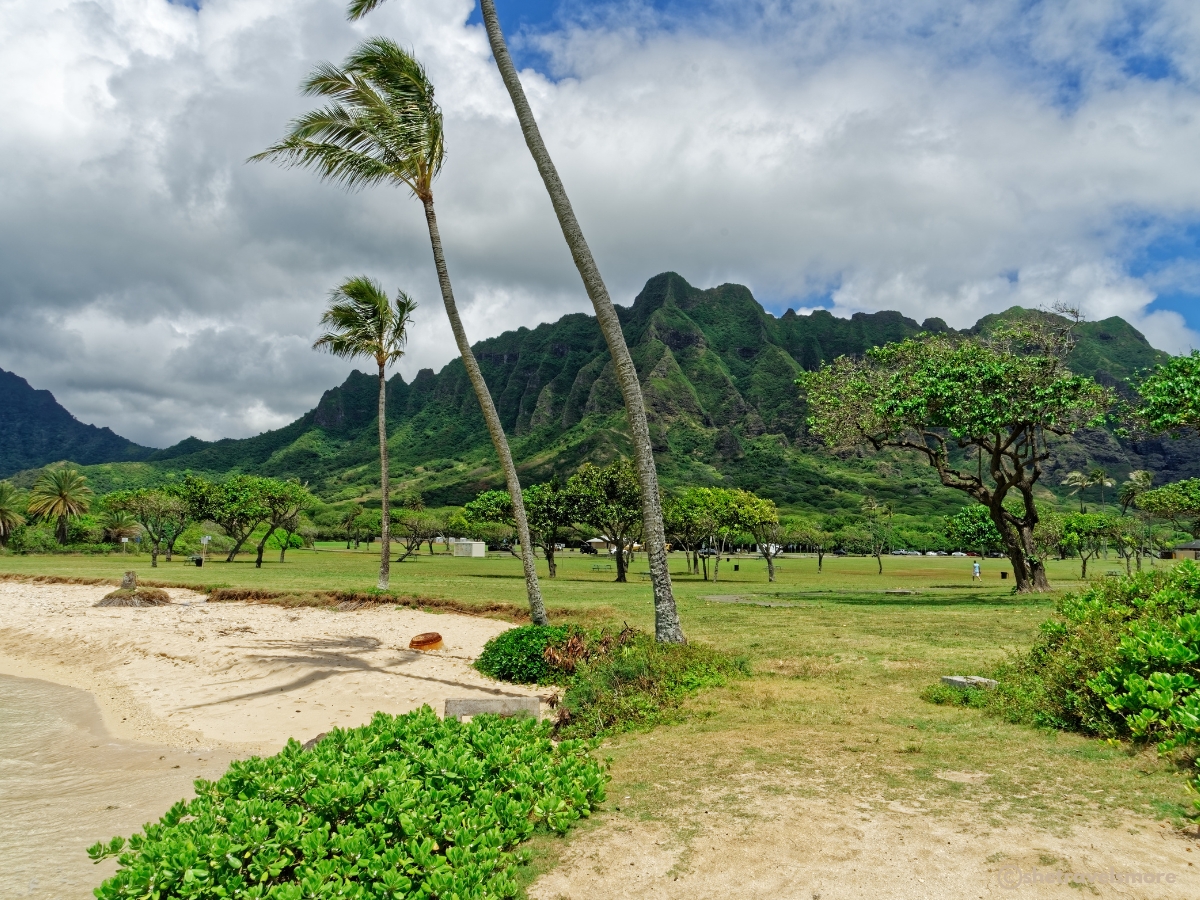 Chinaman`s Hat (Mokolii), Oahu