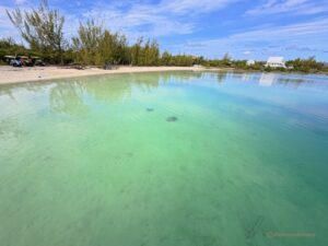 Bahamas-Great Abaco -Turtle Cay