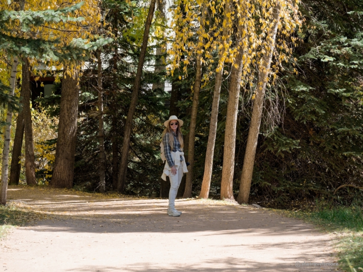 Telluride & Ophir Herbst in Colorado