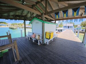 Bahamas-Great Abaco -Turtle Cay