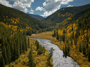 Colorado im Herbst - Taylor Canyon