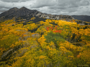 Colorado im Herbst - Kebler Pass