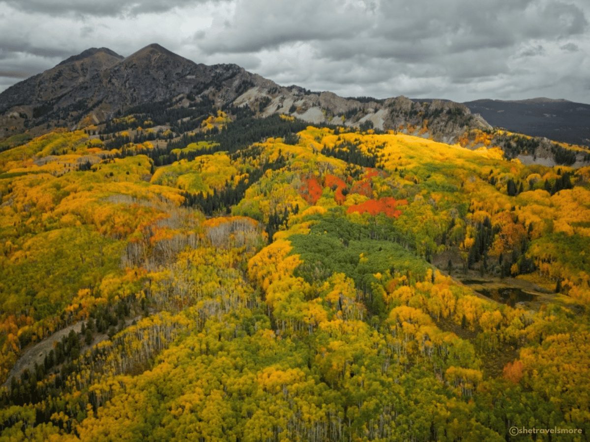 Colorado im Herbst - Kebler Pass