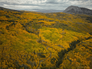 Colorado im Herbst - Kebler Pass