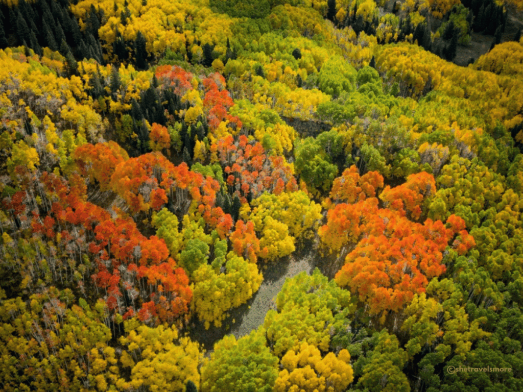 Colorado im Herbst - Kebler Pass