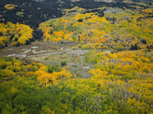 Colorado im Herbst - Kebler Pass