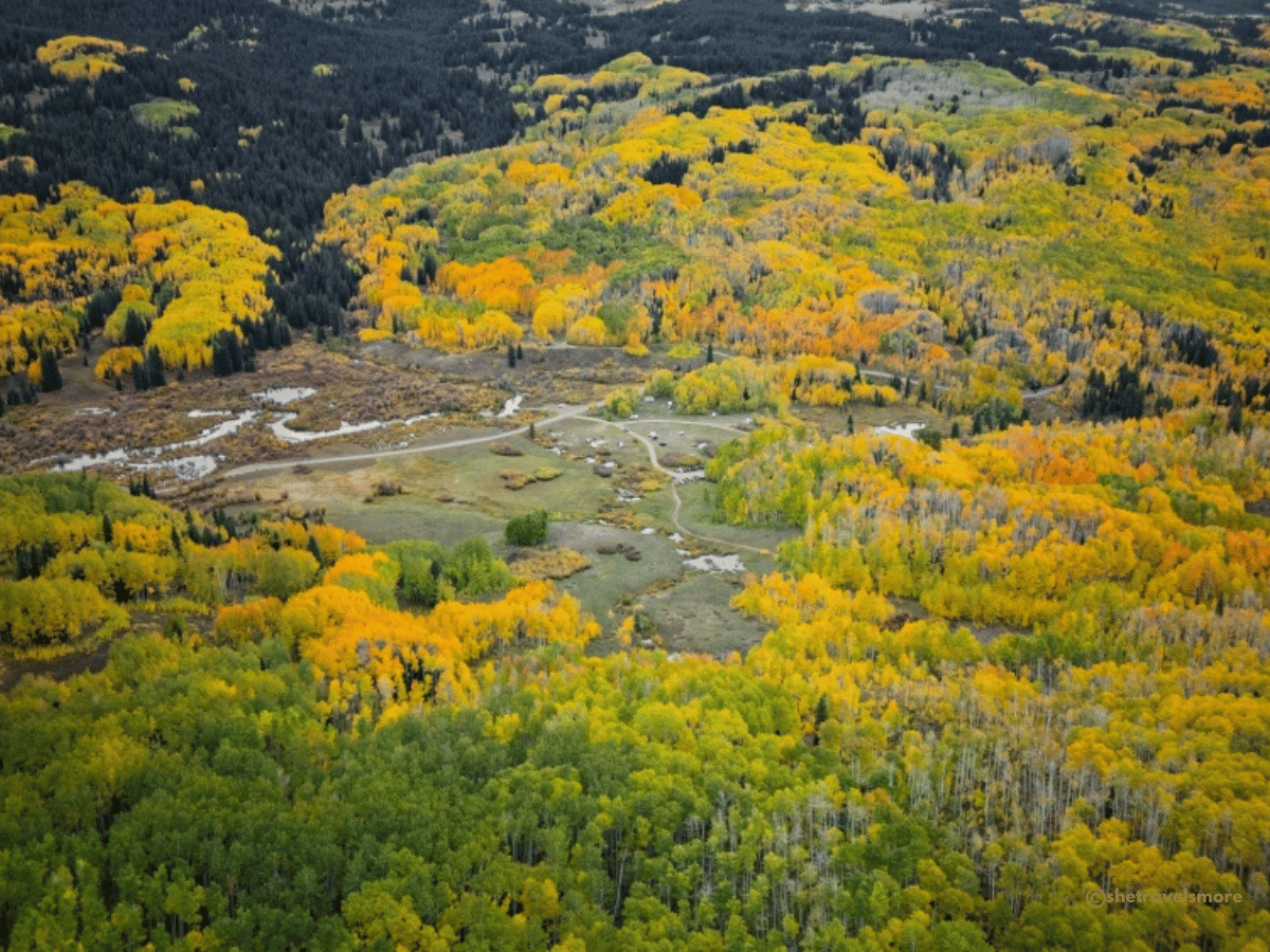 Colorado im Herbst - Kebler Pass
