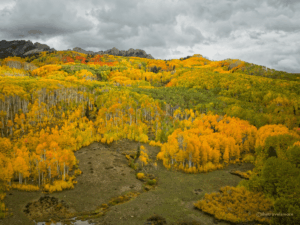 Colorado im Herbst - Kebler Pass