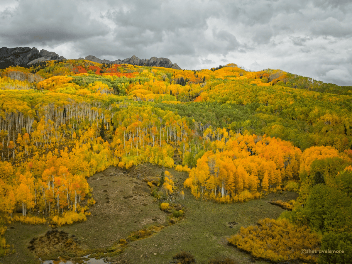 Colorado im Herbst - Kebler Pass