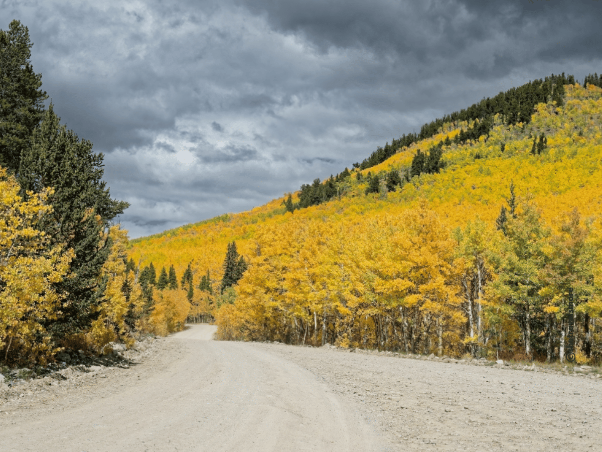 Colorado im Herbst-Boreas Pass