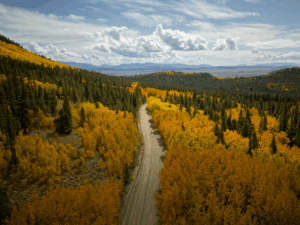 Colorado im Herbst-Boreas Pass