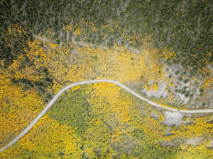 Colorado im Herbst-Boreas Pass