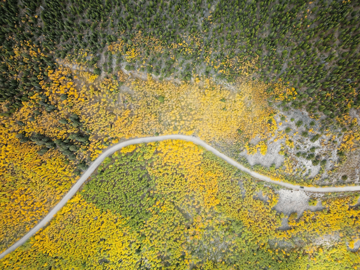 Colorado im Herbst-Boreas Pass