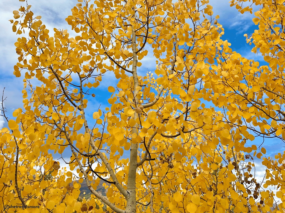 Colorado im Herbst - Breckenridge