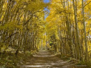 Telluride & Ophir Herbst in Colorado