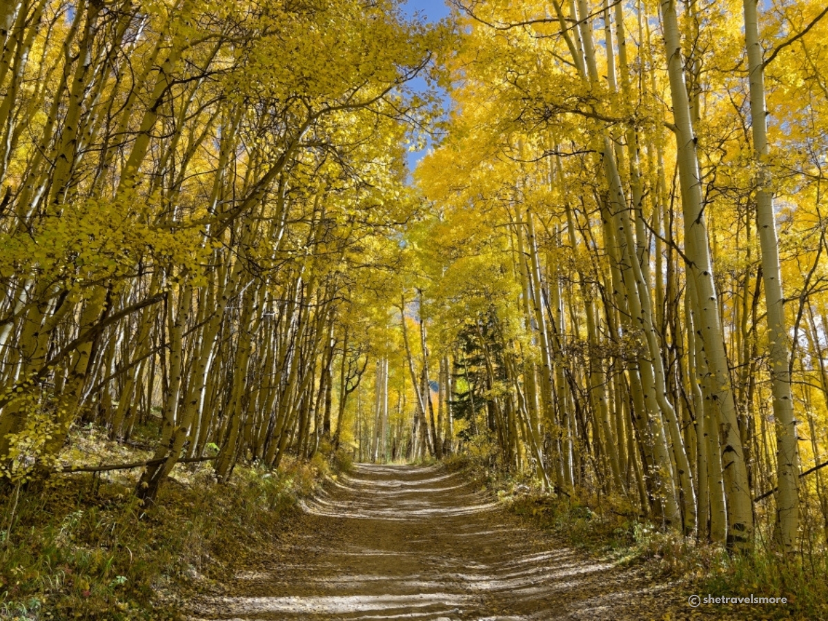 Telluride & Ophir Herbst in Colorado