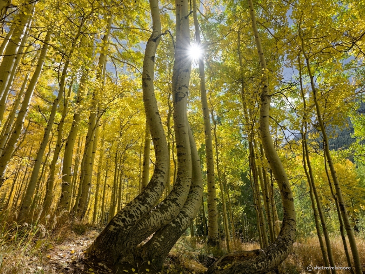 Telluride & Ophir Herbst in Colorado