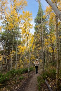 Colorado im Herbst - Aspen Alley Breckenridge