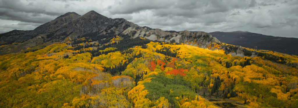 Colorado im Herbst-Kebler Pass
