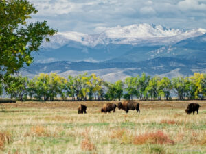 Denver - Colorado im Herbst