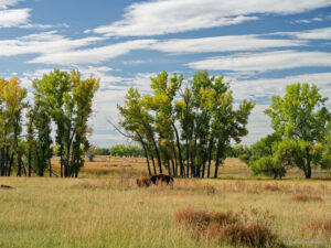 Denver - Colorado im Herbst