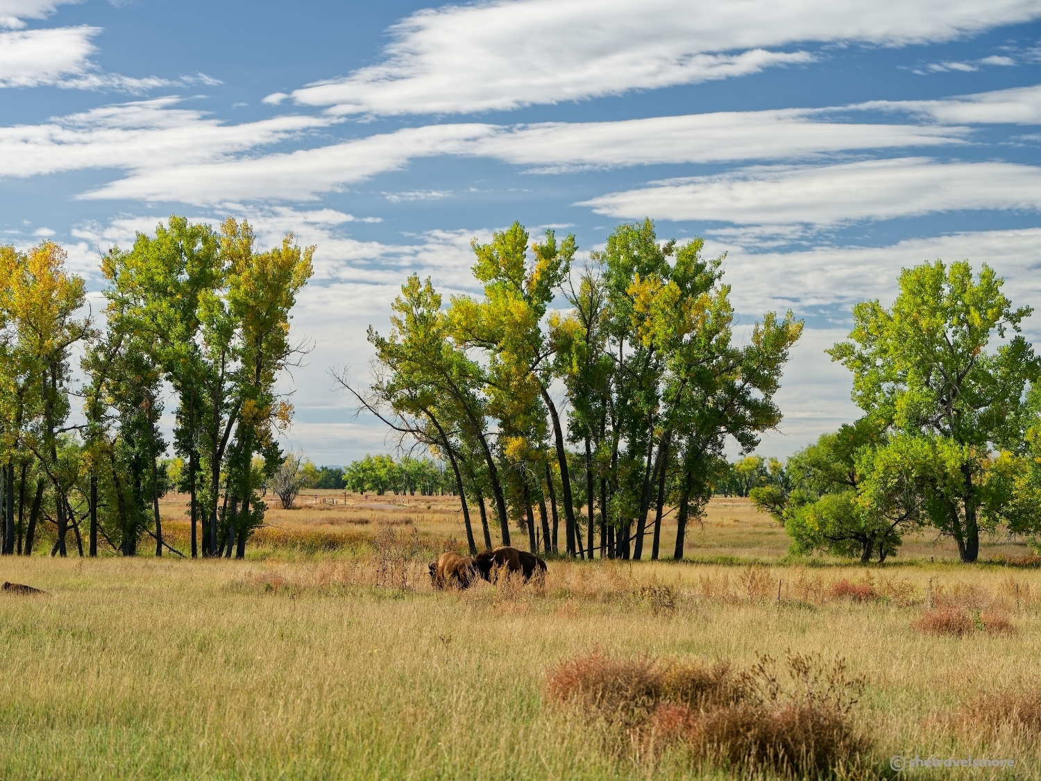 Denver - Colorado im Herbst