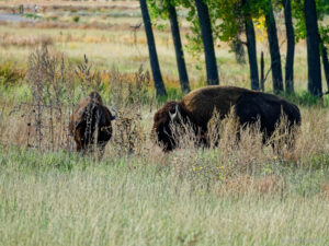 Denver - Colorado im Herbst