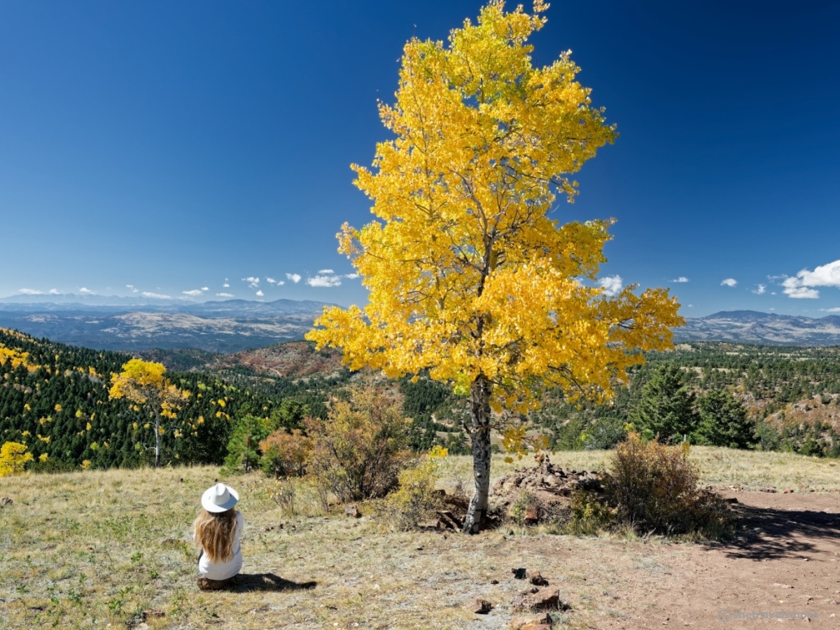 Cripple Creek und Rita - Colorado im Herbst