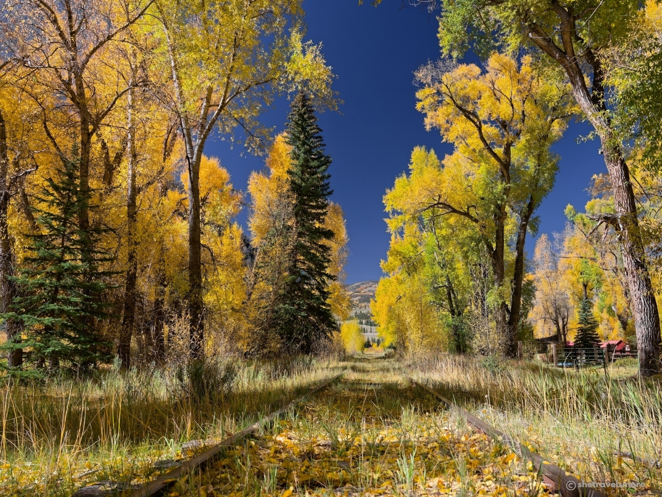 South Fork - Colorado im Herbst