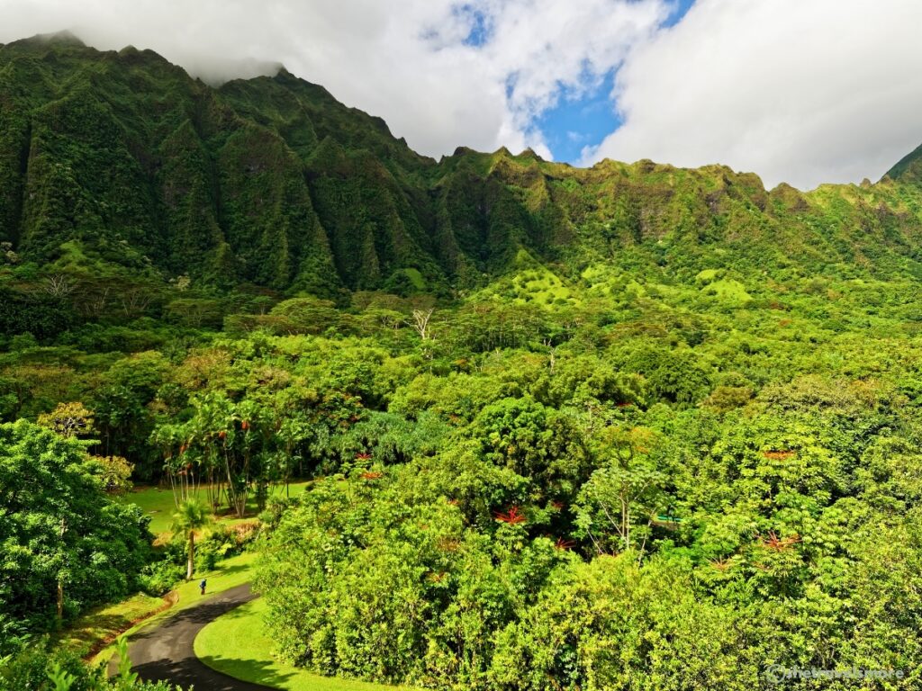 Hawaii-Oahu-Botanischer Garten