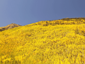 Boreas Pass - Colorado im Herbst