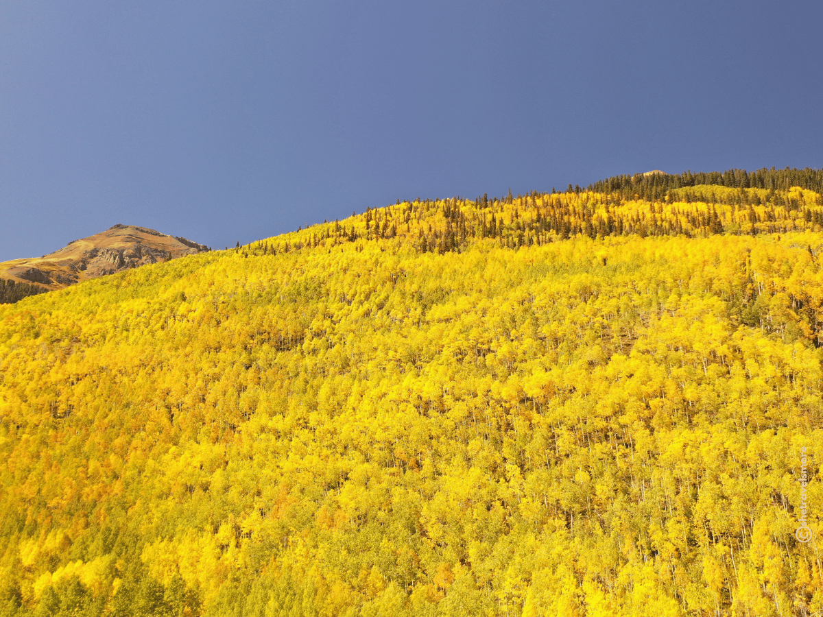 Boreas Pass - Colorado im Herbst