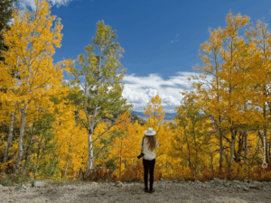 Boreas Pass - Colorado im Herbst