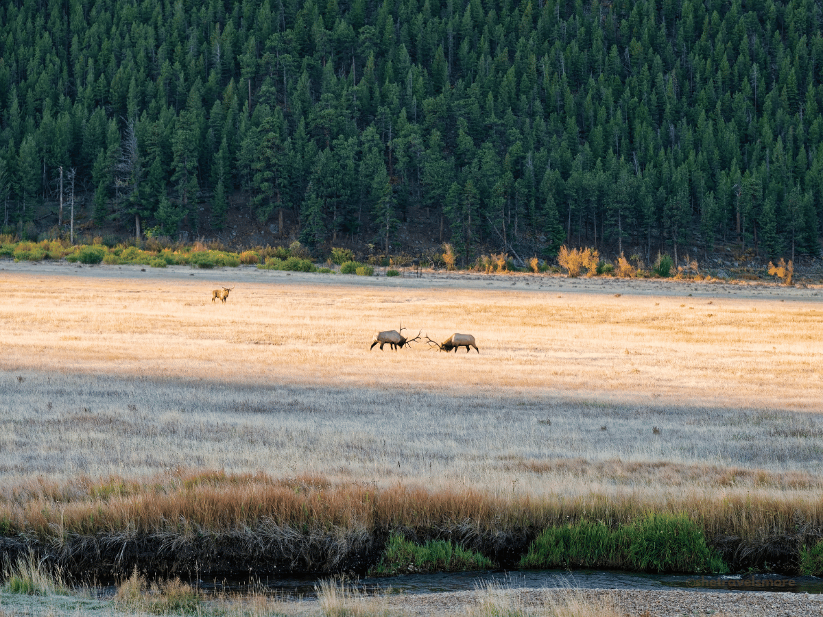 Colorado im Herbst: die ultimative Route durch die Rockies