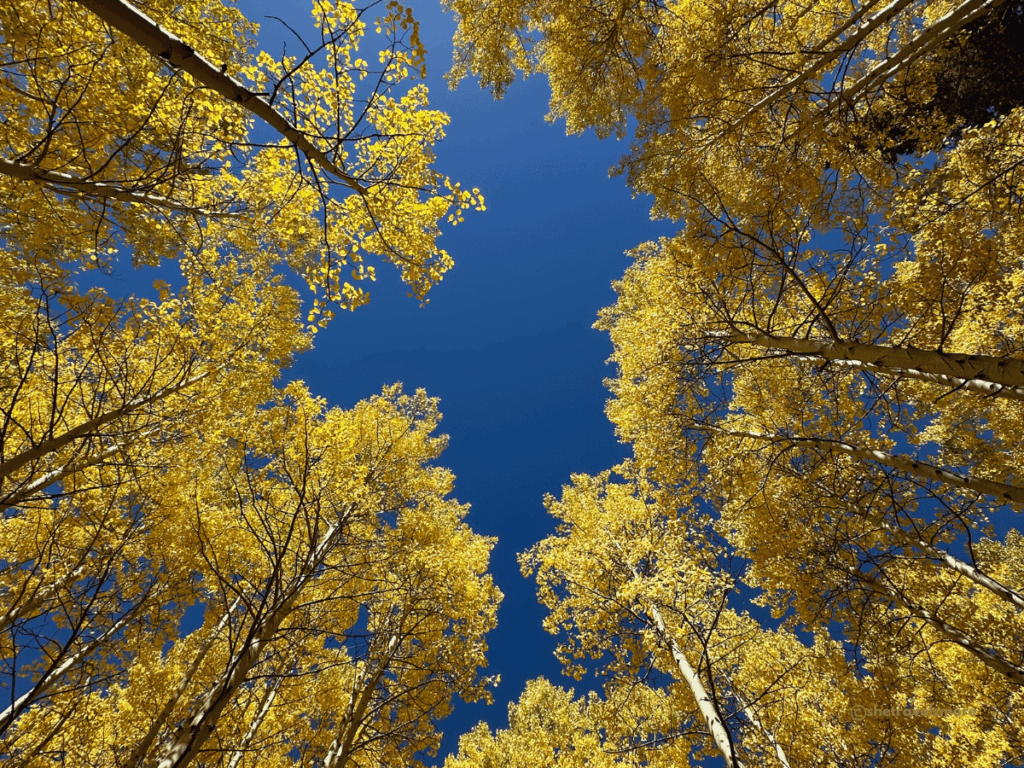 Colorodo im Herbst Colorodo im Herbst